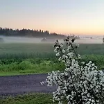Paijan Maatilamajoitus Ypaja