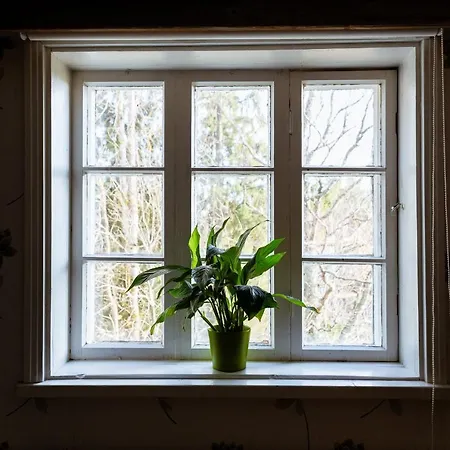 Paijan Maatilamajoitus