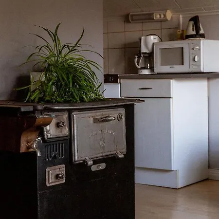 派严玛提拉马约图斯酒店 酒店 Ypaja