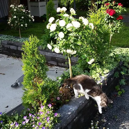 Paijan Maatilamajoitus *