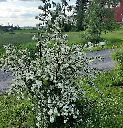 Paijan Maatilamajoitus Hotel