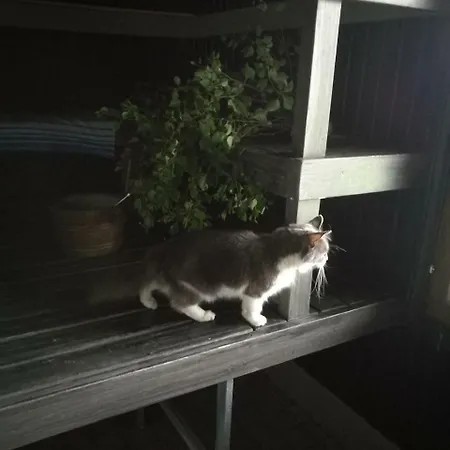 派严玛提拉马约图斯酒店 *